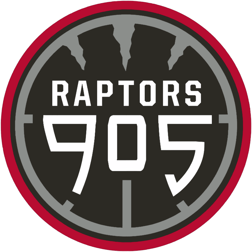 Raptors 905 2015-Pres Primary Logo iron on transfers for T-shirts